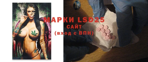 шишки Алексин