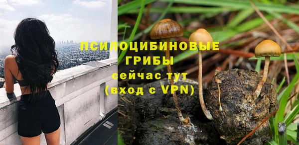 шишки Алексин